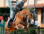 Codecasa Butterfly Red GioCav2013 S5 4557 : Butterfly Red, Campionati Italiani Giovani Cavalli, Cattolica, Codecasa Filippo, ph Stefano Secchi ©